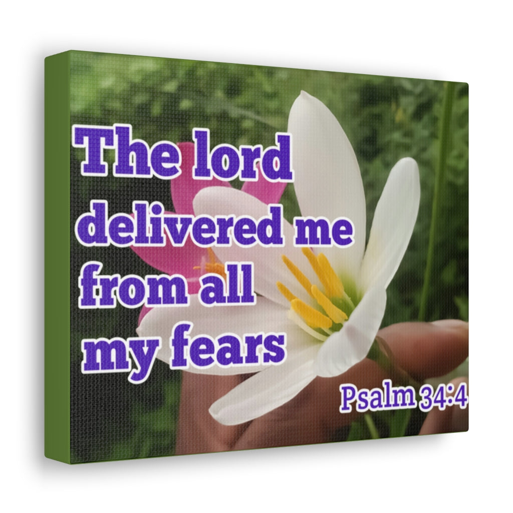 Scripture Walls The Lord Delivered Me Psalm 34:4 Bible Verse Canvas Christian Wall Art Ready to Hang Unframed-Express Your Love Gifts