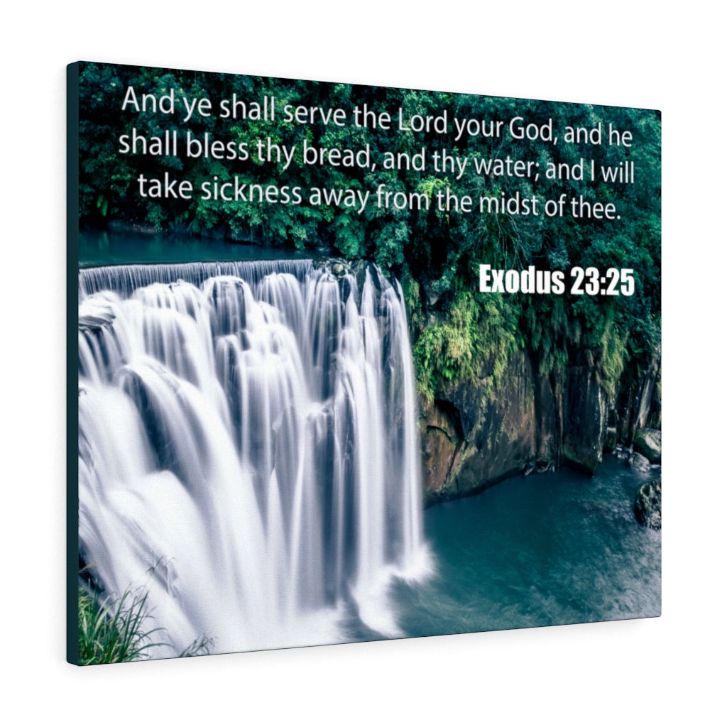 Scripture Walls The Lord is Merciful and Gracious Exodus 23:25 Bible Verse Canvas Christian Wall Art Ready to Hang Unframed-Express Your Love Gifts