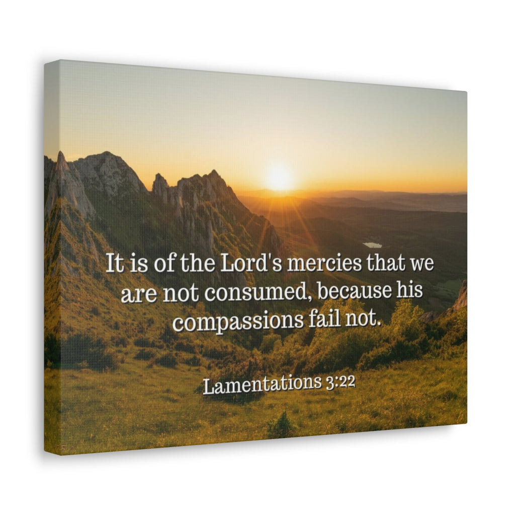 Scripture Walls The Lord's Mercies Lamentations 3:22 Bible Verse Canvas Christian Wall Art Ready to Hang Unframed-Express Your Love Gifts