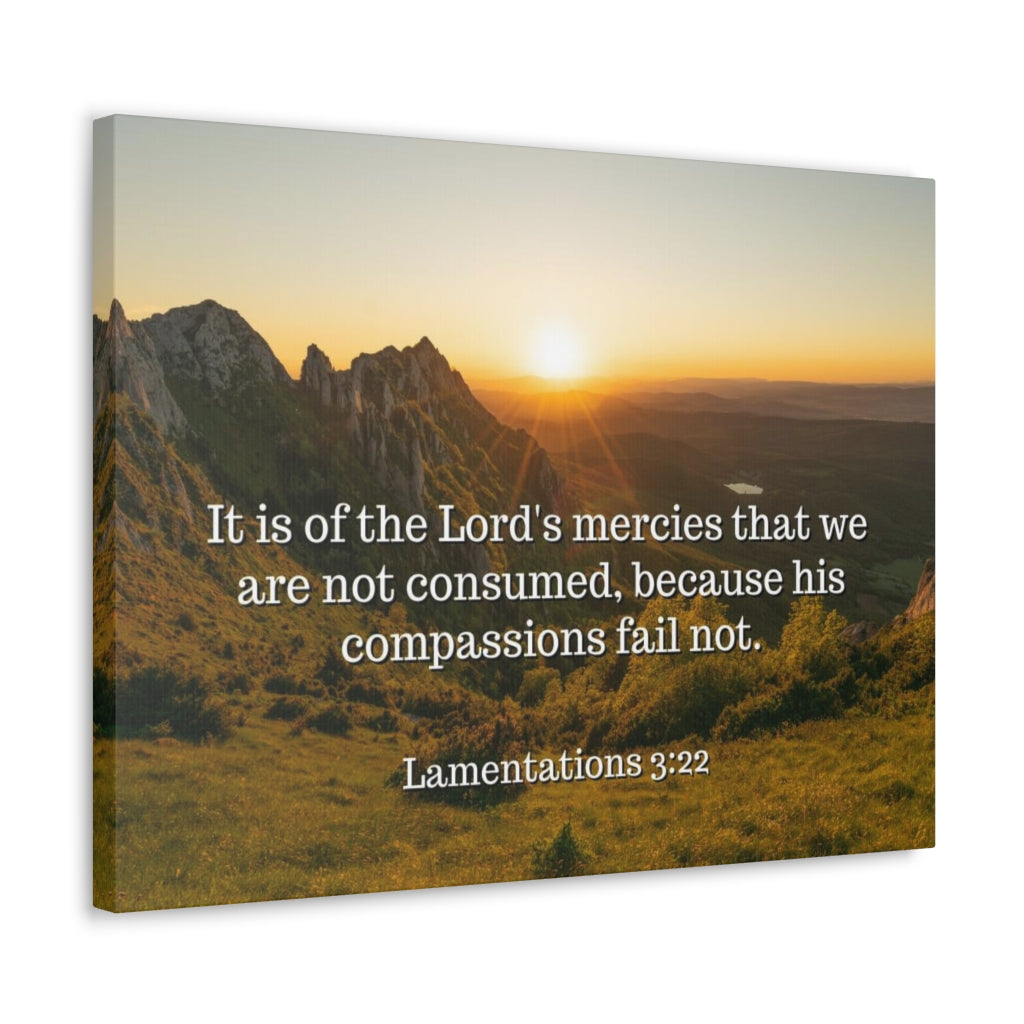 Scripture Walls The Lord's Mercies Lamentations 3:22 Bible Verse Canvas Christian Wall Art Ready to Hang Unframed-Express Your Love Gifts