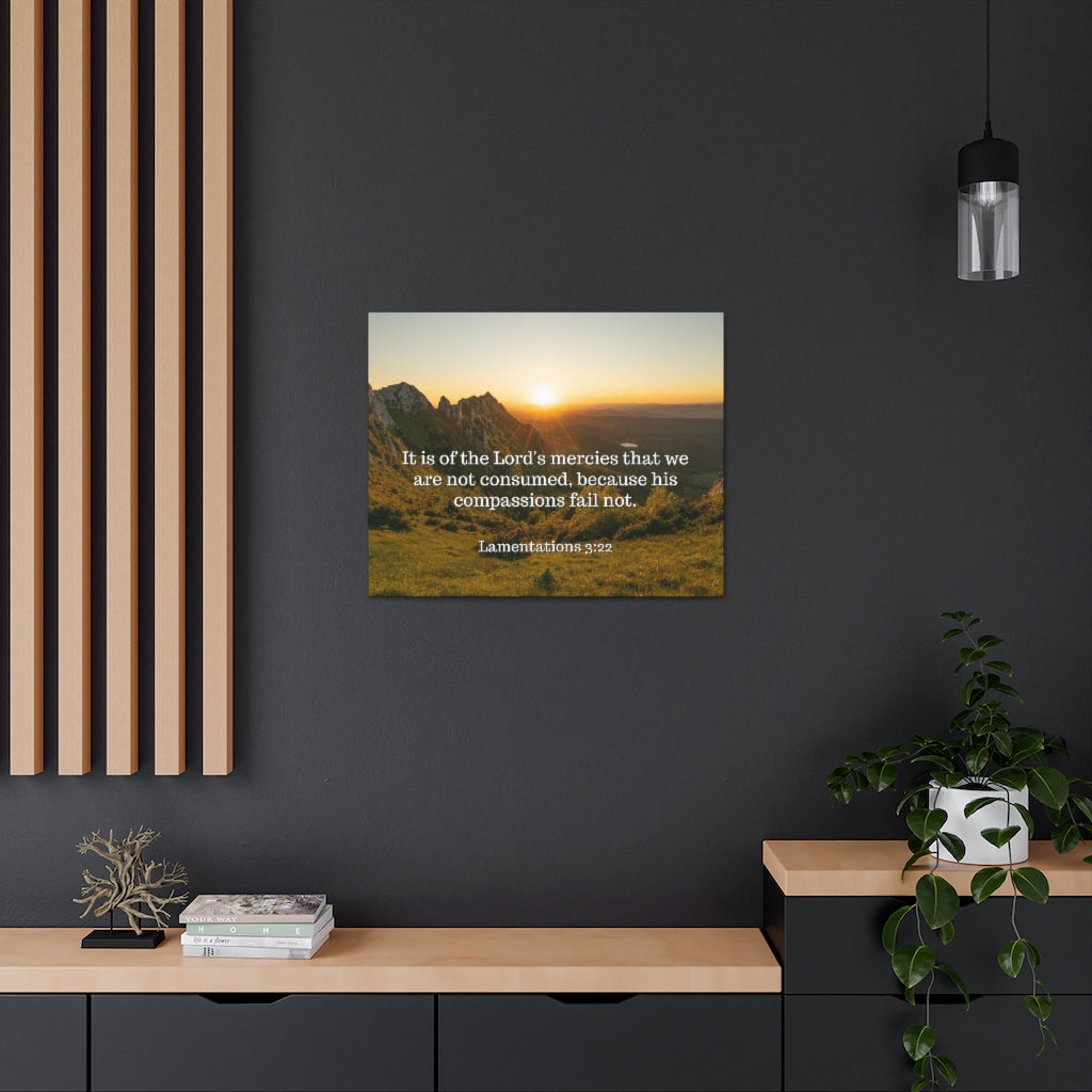 Scripture Walls The Lord's Mercies Lamentations 3:22 Bible Verse Canvas Christian Wall Art Ready to Hang Unframed-Express Your Love Gifts