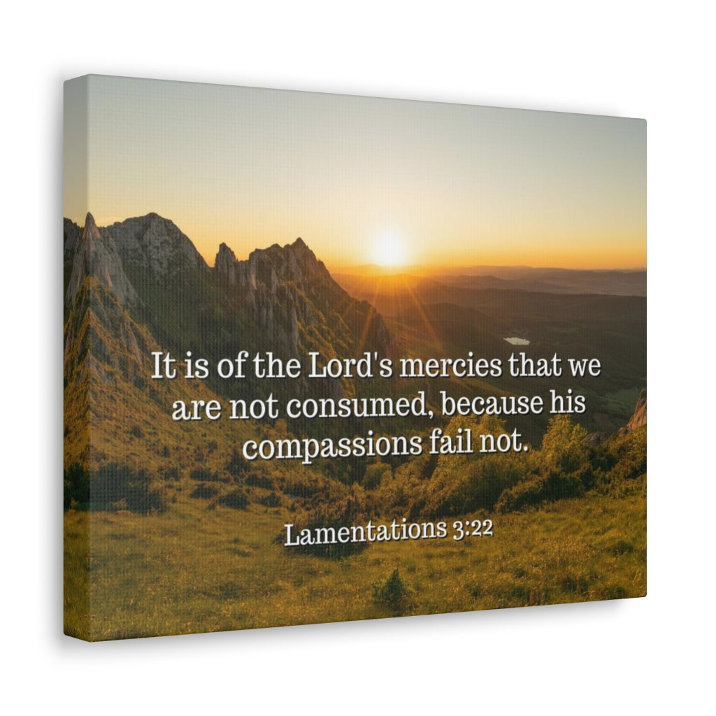 Scripture Walls The Lord's Mercies Lamentations 3:22 Bible Verse Canvas Christian Wall Art Ready to Hang Unframed-Express Your Love Gifts