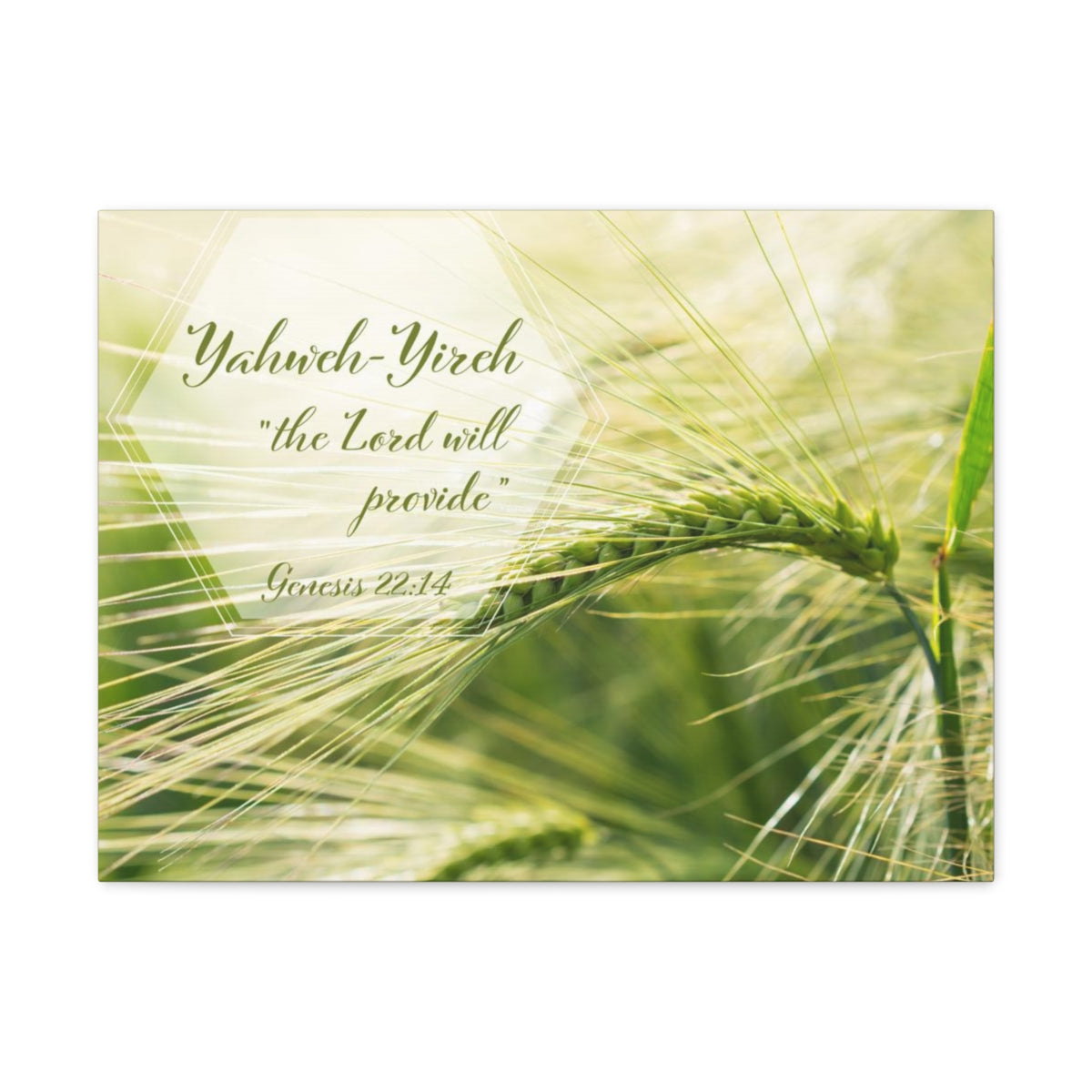 Scripture Walls The Lord Will Provide Genesis 22:14 Bible Verse Canvas Christian Wall Art Bible Verse Print Ready To Hang Unframed-Express Your Love Gifts