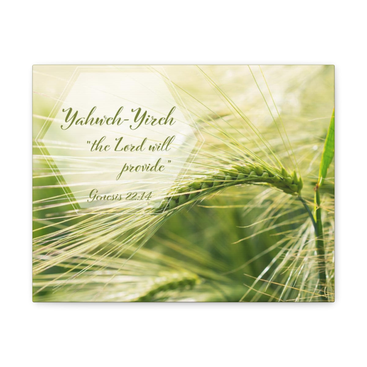 Scripture Walls The Lord Will Provide Genesis 22:14 Bible Verse Canvas Christian Wall Art Bible Verse Print Ready To Hang Unframed-Express Your Love Gifts