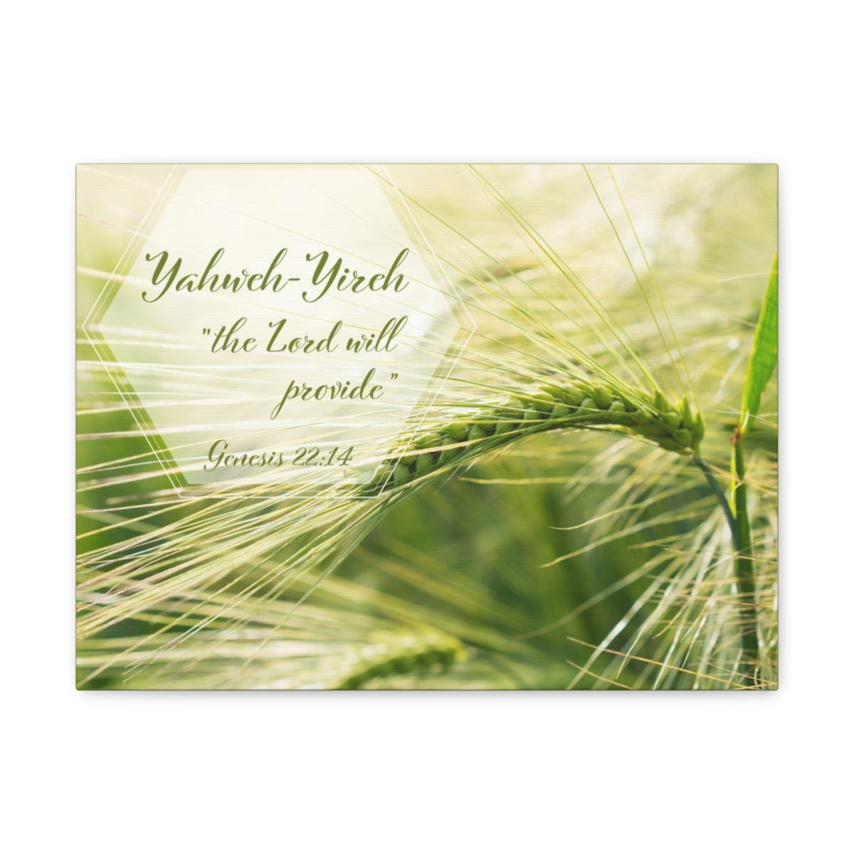 Scripture Walls The Lord Will Provide Genesis 22:14 Bible Verse Canvas Christian Wall Art Bible Verse Print Ready To Hang Unframed-Express Your Love Gifts