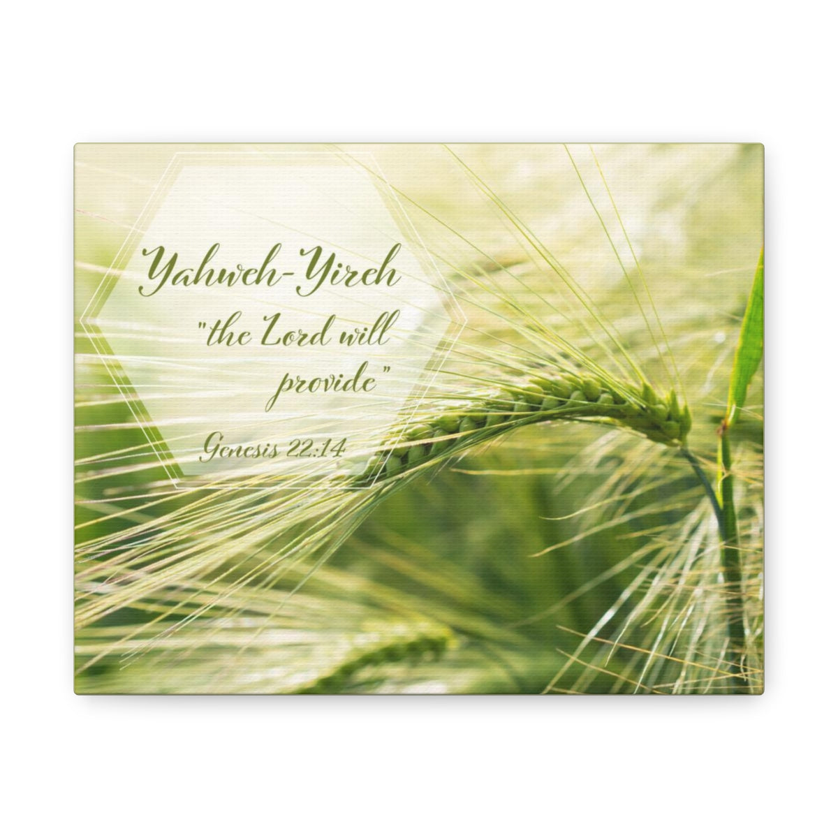 Scripture Walls The Lord Will Provide Genesis 22:14 Bible Verse Canvas Christian Wall Art Bible Verse Print Ready To Hang Unframed-Express Your Love Gifts