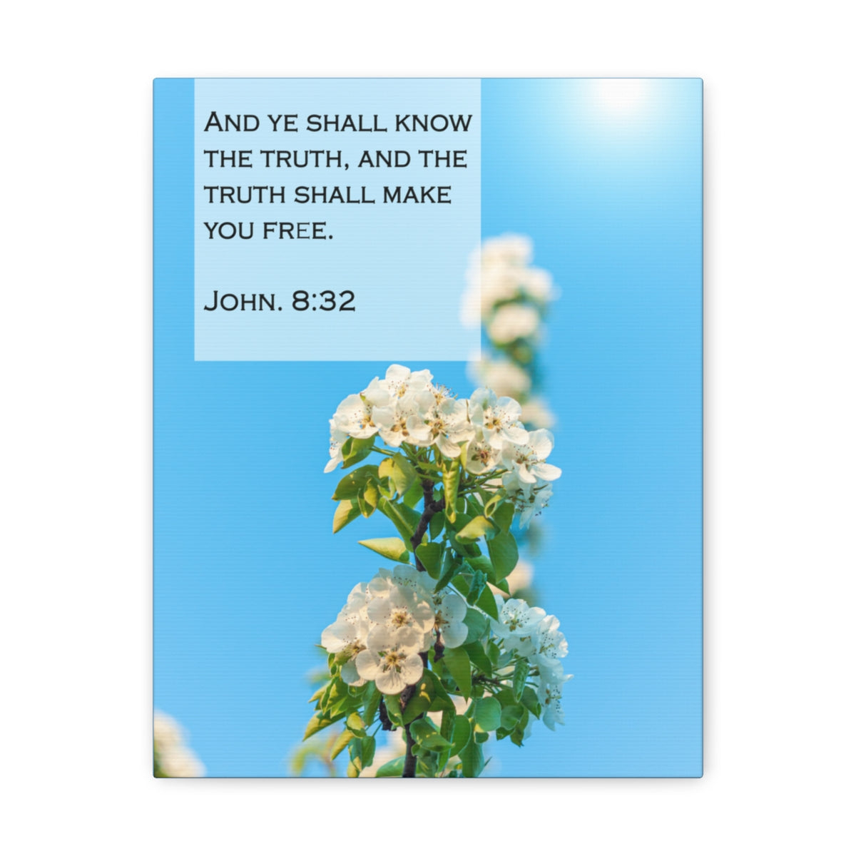 Scripture Walls The Truth Shall Make You Free John 8:32 Bible Verse Canvas Christian Wall Art Bible Verse Print Ready To Hang Unframed-Express Your Love Gifts