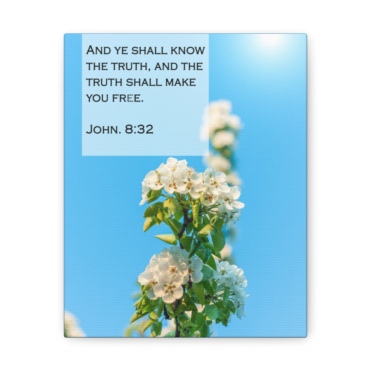 Scripture Walls The Truth Shall Make You Free John 8:32 Bible Verse Canvas Christian Wall Art Bible Verse Print Ready To Hang Unframed-Express Your Love Gifts