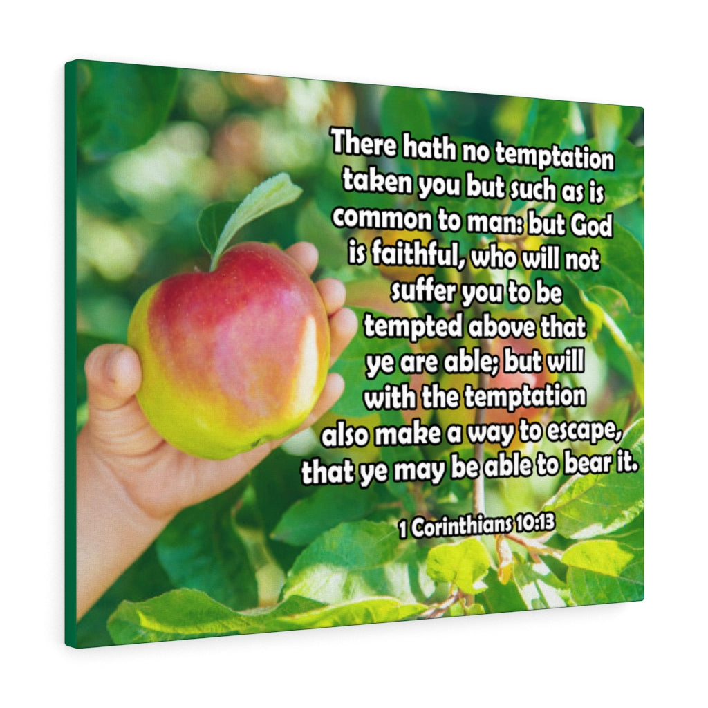 Scripture Walls There Hath No Temptation 1 Corinthians 10:13 Bible Verse Canvas Christian Wall Art Ready to Hang Unframed-Express Your Love Gifts