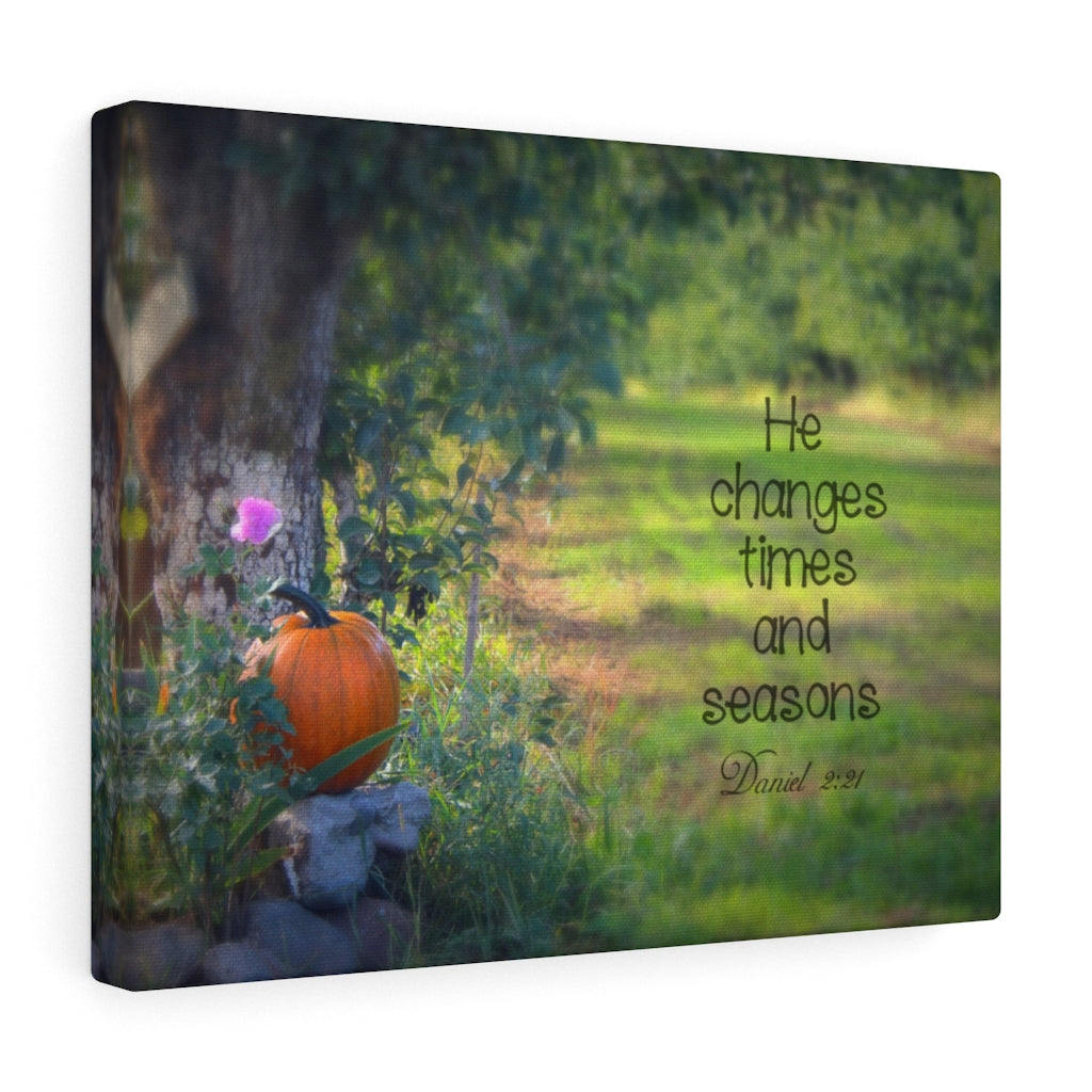 Scripture Walls Times And Seasons Daniel 2:21 Bible Verse Canvas Christian Wall Art Ready to Hang Unframed-Express Your Love Gifts