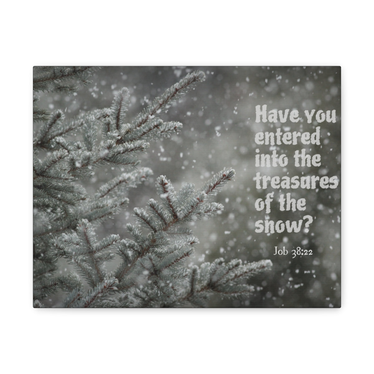 Scripture Walls Treasures Of The Show Job 38:22 Bible Verse Canvas Christian Wall Art Bible Verse Print Ready To Hang Unframed-Express Your Love Gifts