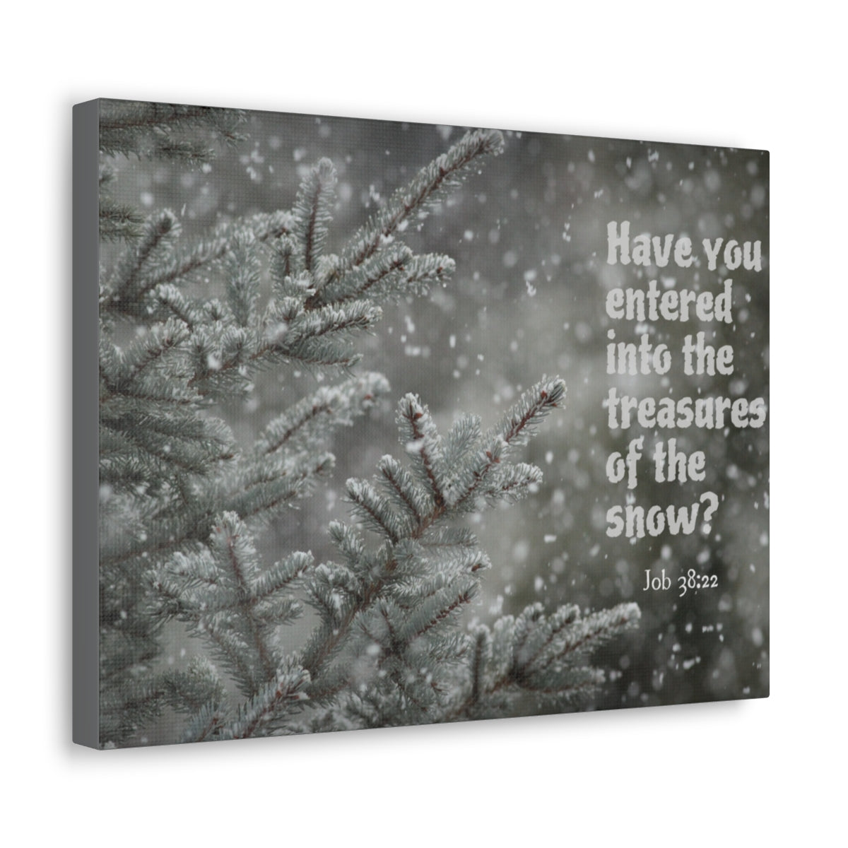 Scripture Walls Treasures Of The Show Job 38:22 Bible Verse Canvas Christian Wall Art Bible Verse Print Ready To Hang Unframed-Express Your Love Gifts