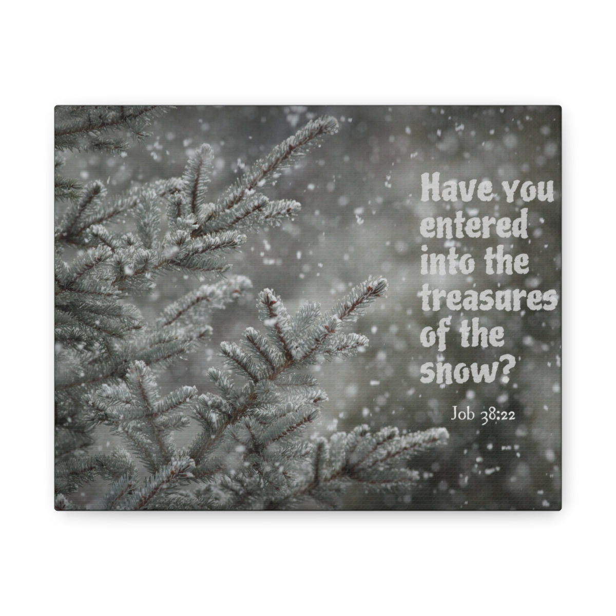 Scripture Walls Treasures Of The Show Job 38:22 Bible Verse Canvas Christian Wall Art Bible Verse Print Ready To Hang Unframed-Express Your Love Gifts