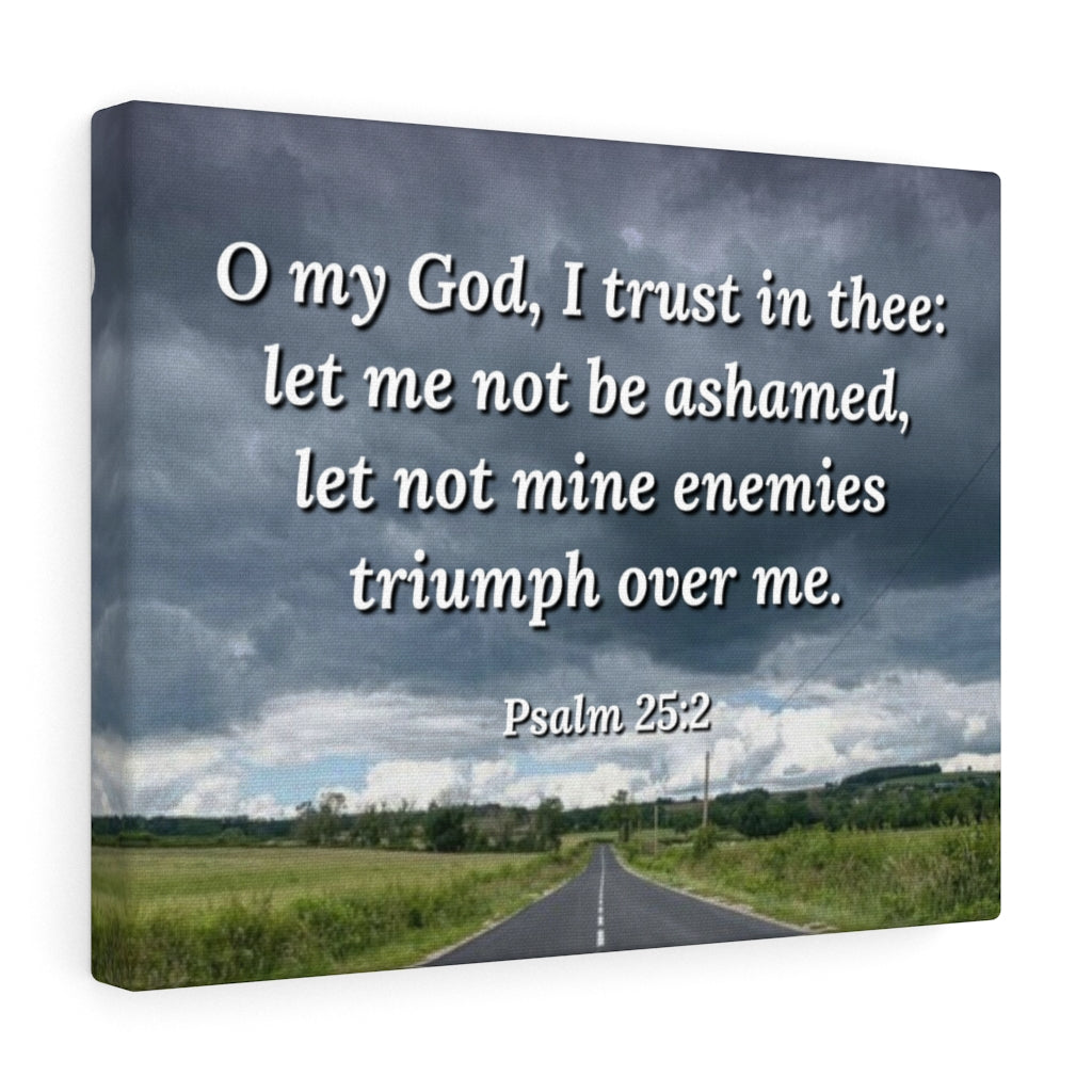 Scripture Walls Triumph Psalm 25:2 Bible Verse Canvas Christian Wall Art Ready to Hang Unframed-Express Your Love Gifts