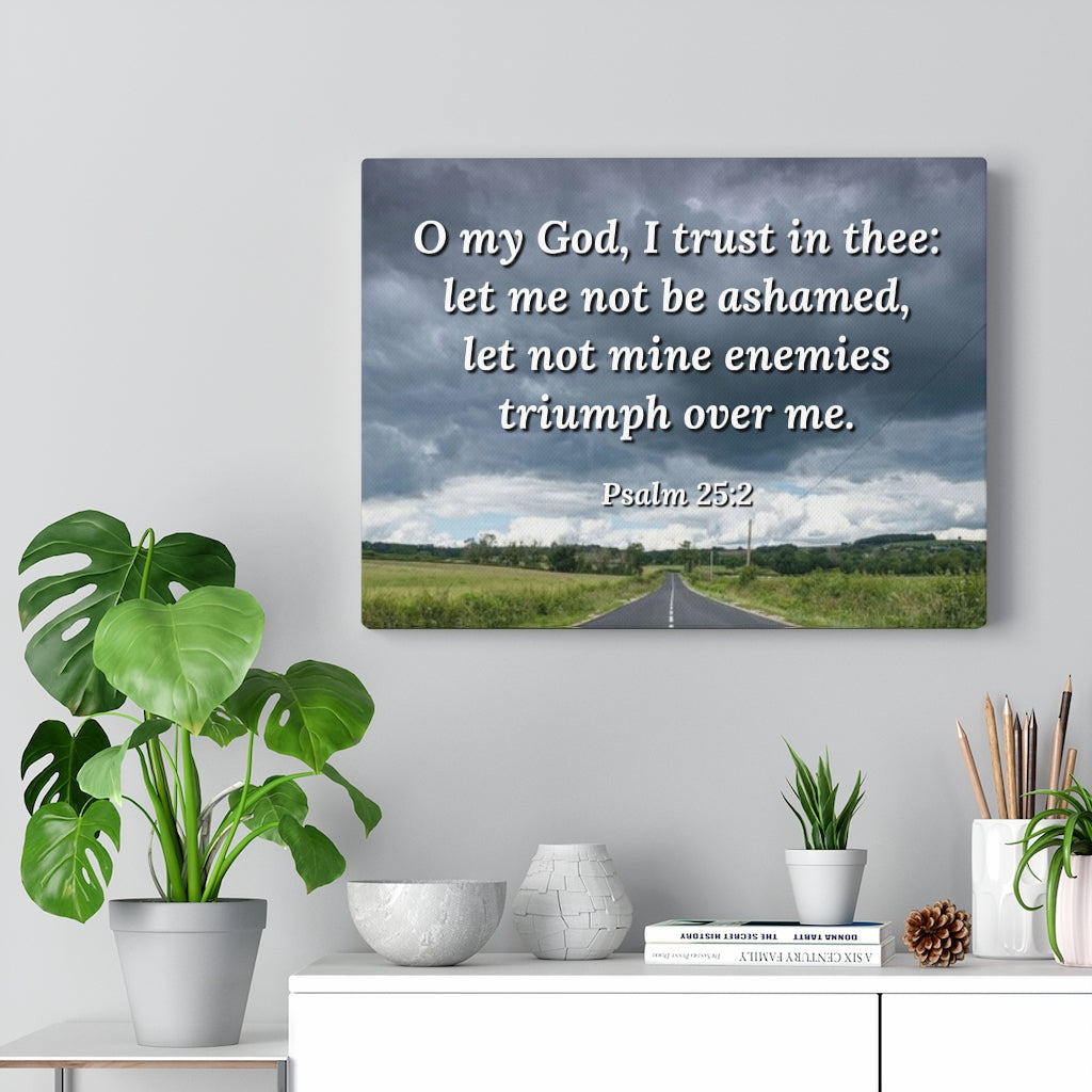 Scripture Walls Triumph Psalm 25:2 Bible Verse Canvas Christian Wall Art Ready to Hang Unframed-Express Your Love Gifts