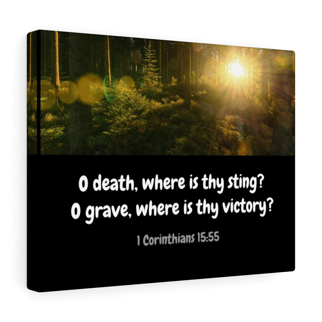 Scripture Walls Victory Over Death 1 Corinthians 15:55 Bible Verse Canvas Christian Wall Art Ready to Hang Unframed-Express Your Love Gifts