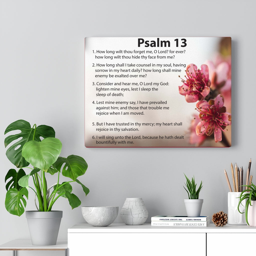 Scripture Walls When God Seems Silent Psalm 13 Bible Verse Canvas Christian Wall Art Ready to Hang Unframed-Express Your Love Gifts