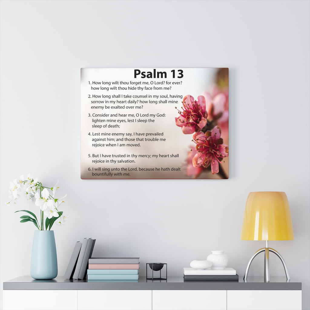 Scripture Walls When God Seems Silent Psalm 13 Bible Verse Canvas Christian Wall Art Ready to Hang Unframed-Express Your Love Gifts