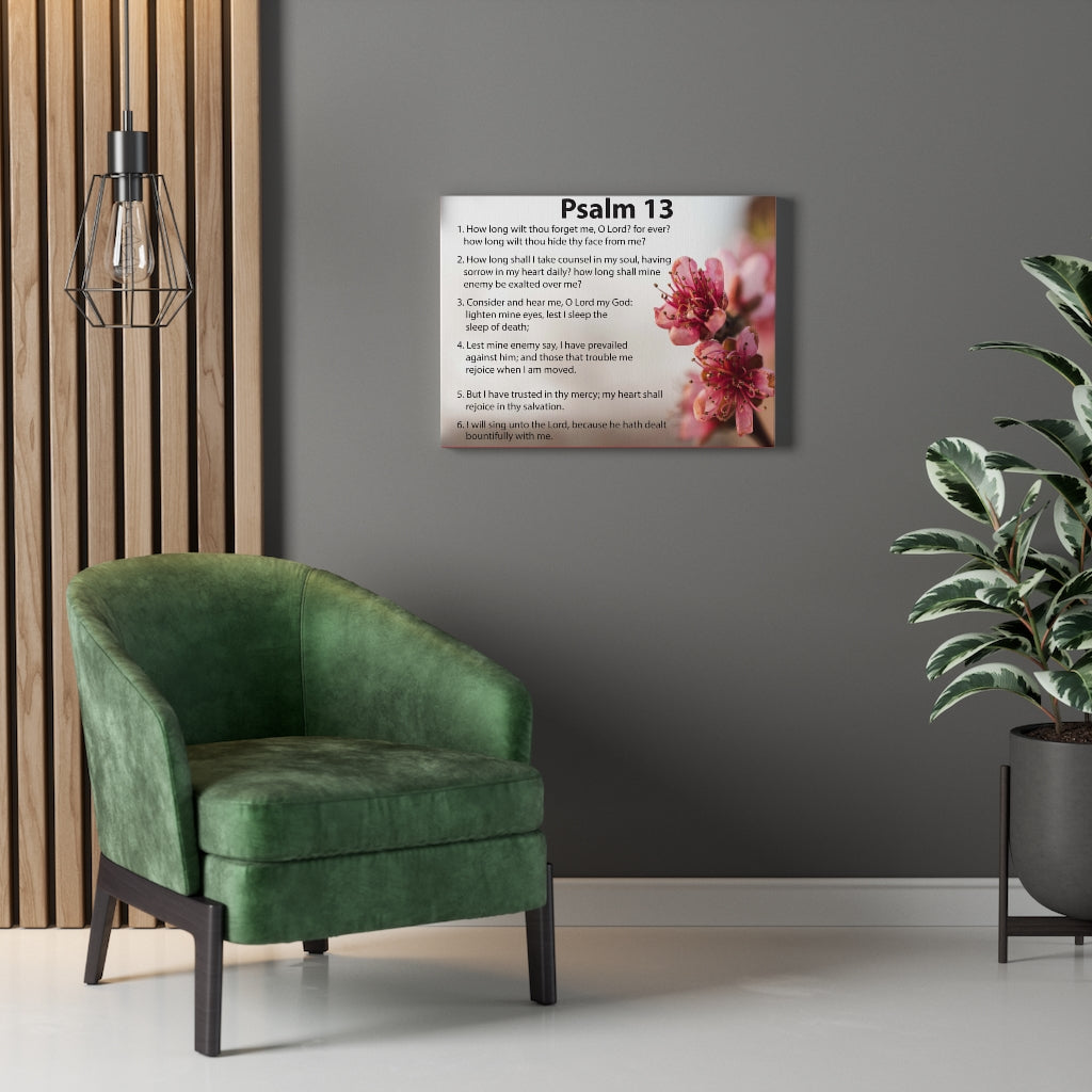 Scripture Walls When God Seems Silent Psalm 13 Bible Verse Canvas Christian Wall Art Ready to Hang Unframed-Express Your Love Gifts