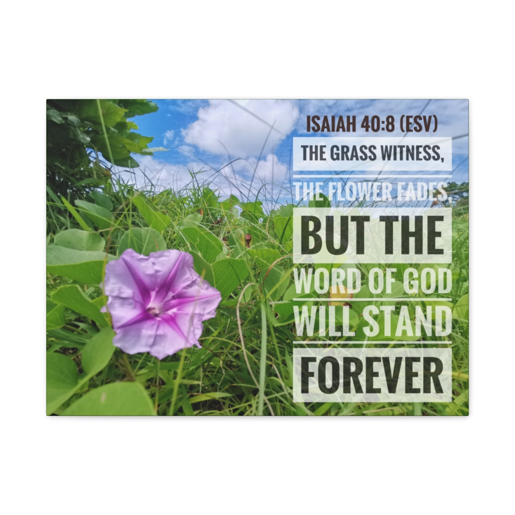 Scripture Walls Will Stand Forever Isaiah 40:8 Bible Verse Canvas Christian Wall Art Ready to Hang Unframed-Express Your Love Gifts