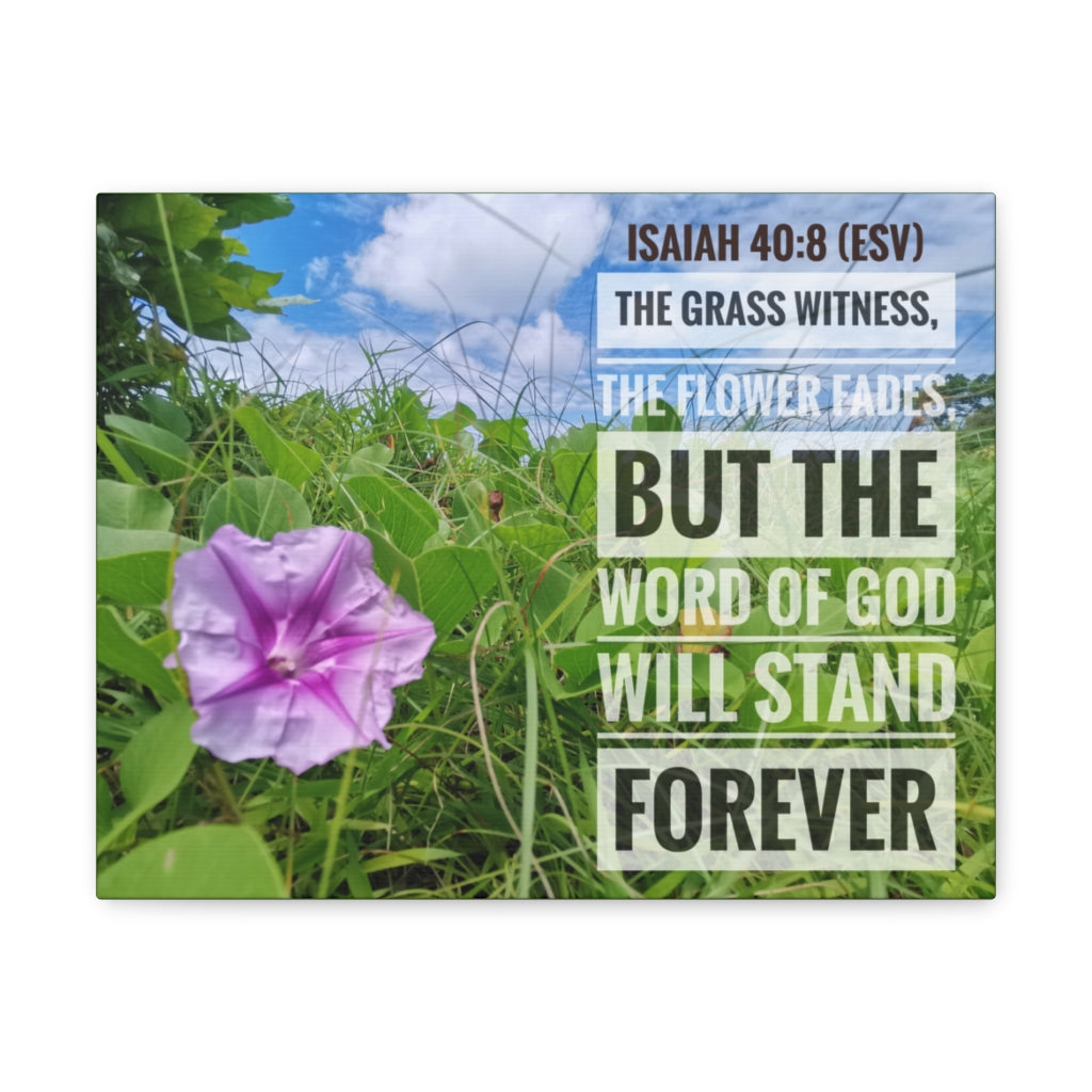 Scripture Walls Will Stand Forever Isaiah 40:8 Bible Verse Canvas Christian Wall Art Ready to Hang Unframed-Express Your Love Gifts