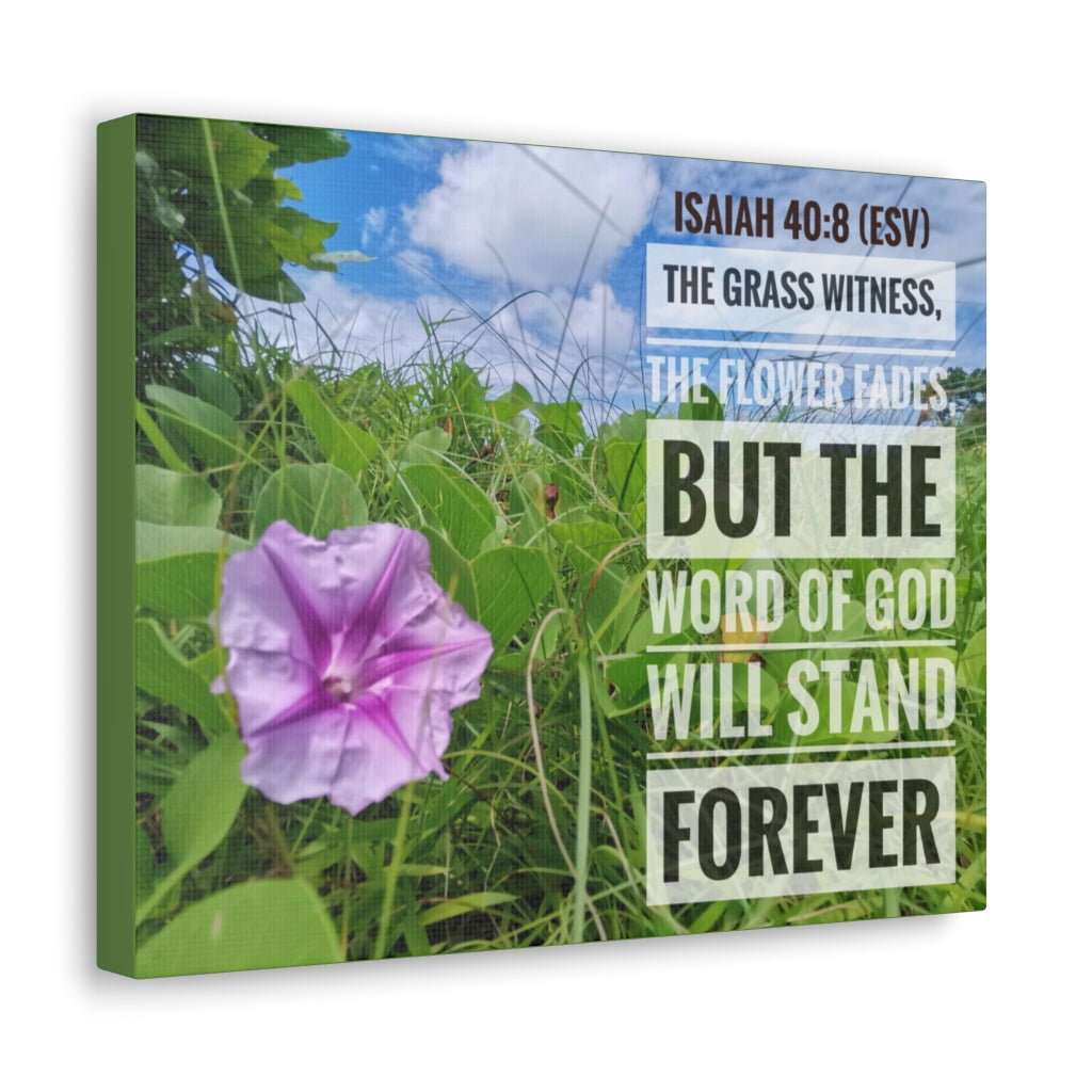 Scripture Walls Will Stand Forever Isaiah 40:8 Bible Verse Canvas Christian Wall Art Ready to Hang Unframed-Express Your Love Gifts