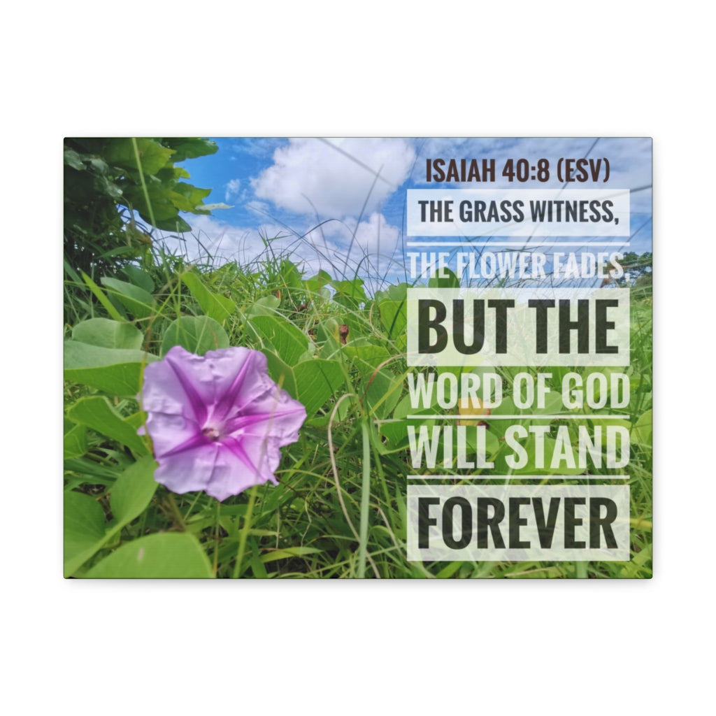 Scripture Walls Will Stand Forever Isaiah 40:8 Bible Verse Canvas Christian Wall Art Ready to Hang Unframed-Express Your Love Gifts