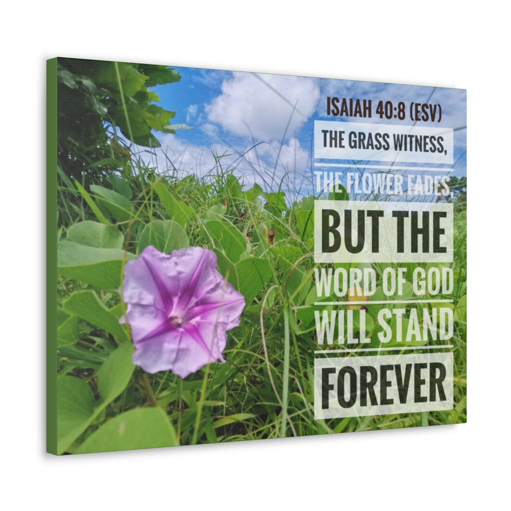 Scripture Walls Will Stand Forever Isaiah 40:8 Bible Verse Canvas Christian Wall Art Ready to Hang Unframed-Express Your Love Gifts