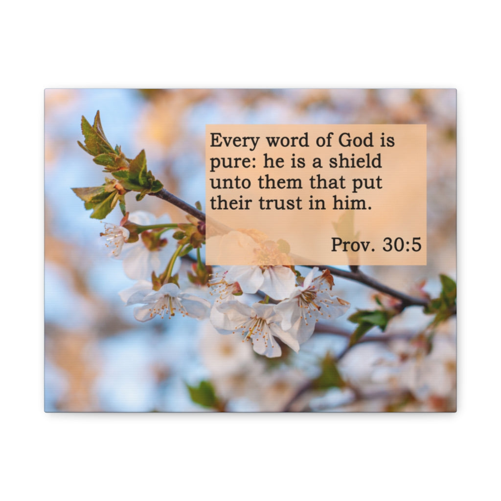 Scripture Walls Word Of God Is Pure Proverbs 30:5 Bible Verse Canvas Christian Wall Art Ready to Hang Unframed-Express Your Love Gifts