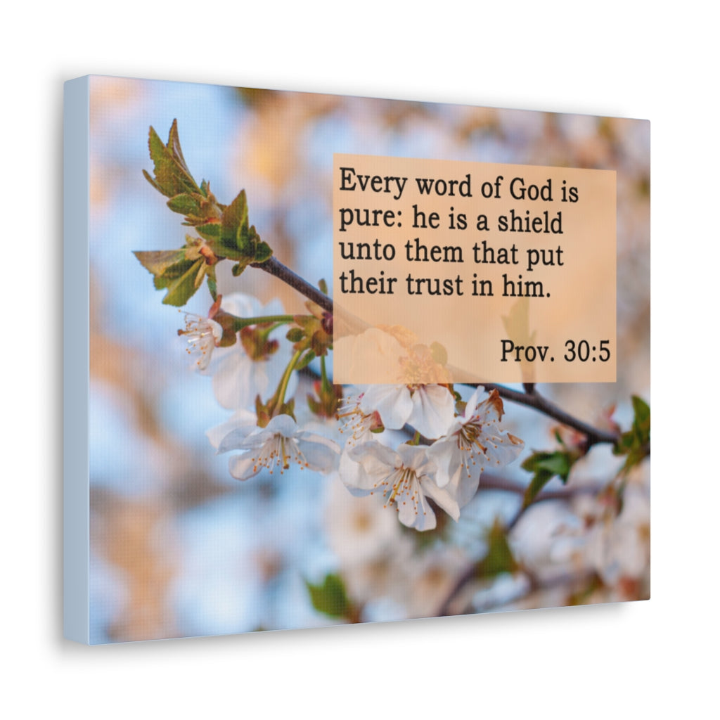 Scripture Walls Word Of God Is Pure Proverbs 30:5 Bible Verse Canvas Christian Wall Art Ready to Hang Unframed-Express Your Love Gifts