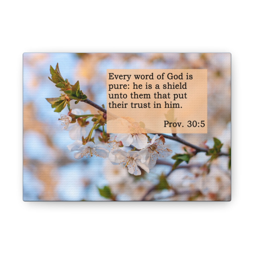 Scripture Walls Word Of God Is Pure Proverbs 30:5 Bible Verse Canvas Christian Wall Art Ready to Hang Unframed-Express Your Love Gifts
