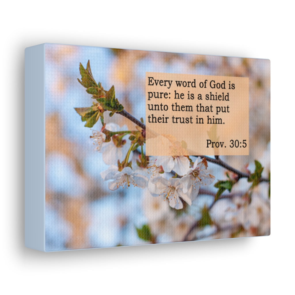 Scripture Walls Word Of God Is Pure Proverbs 30:5 Bible Verse Canvas Christian Wall Art Ready to Hang Unframed-Express Your Love Gifts