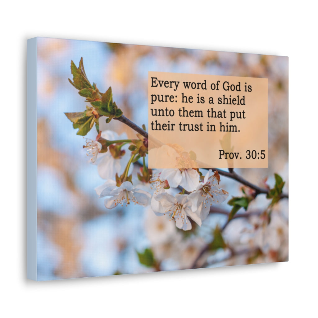 Scripture Walls Word Of God Is Pure Proverbs 30:5 Bible Verse Canvas Christian Wall Art Ready to Hang Unframed-Express Your Love Gifts
