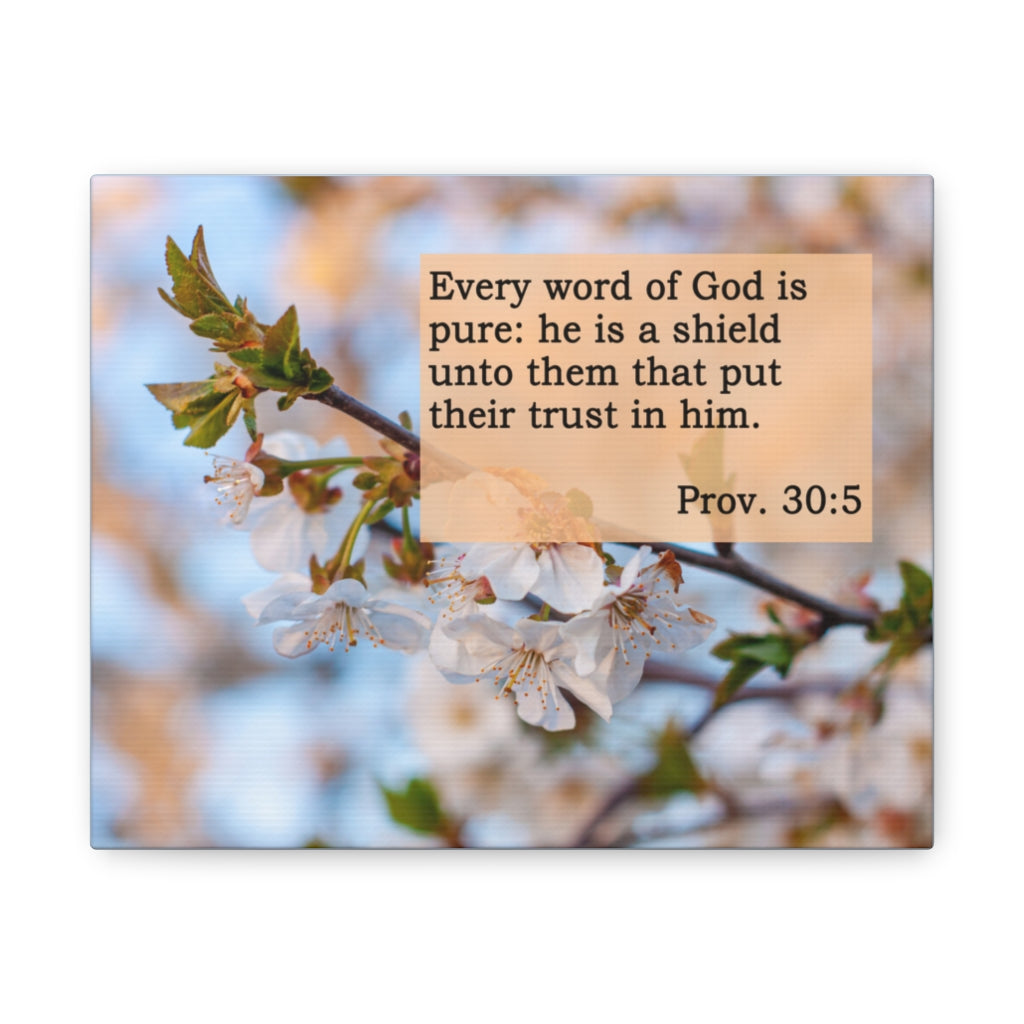 Scripture Walls Word Of God Is Pure Proverbs 30:5 Bible Verse Canvas Christian Wall Art Ready to Hang Unframed-Express Your Love Gifts