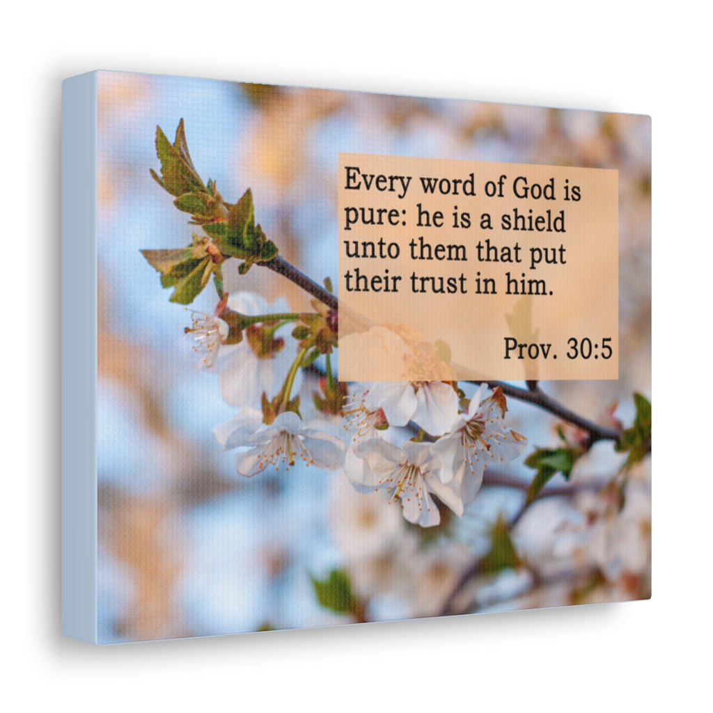 Scripture Walls Word Of God Is Pure Proverbs 30:5 Bible Verse Canvas Christian Wall Art Ready to Hang Unframed-Express Your Love Gifts