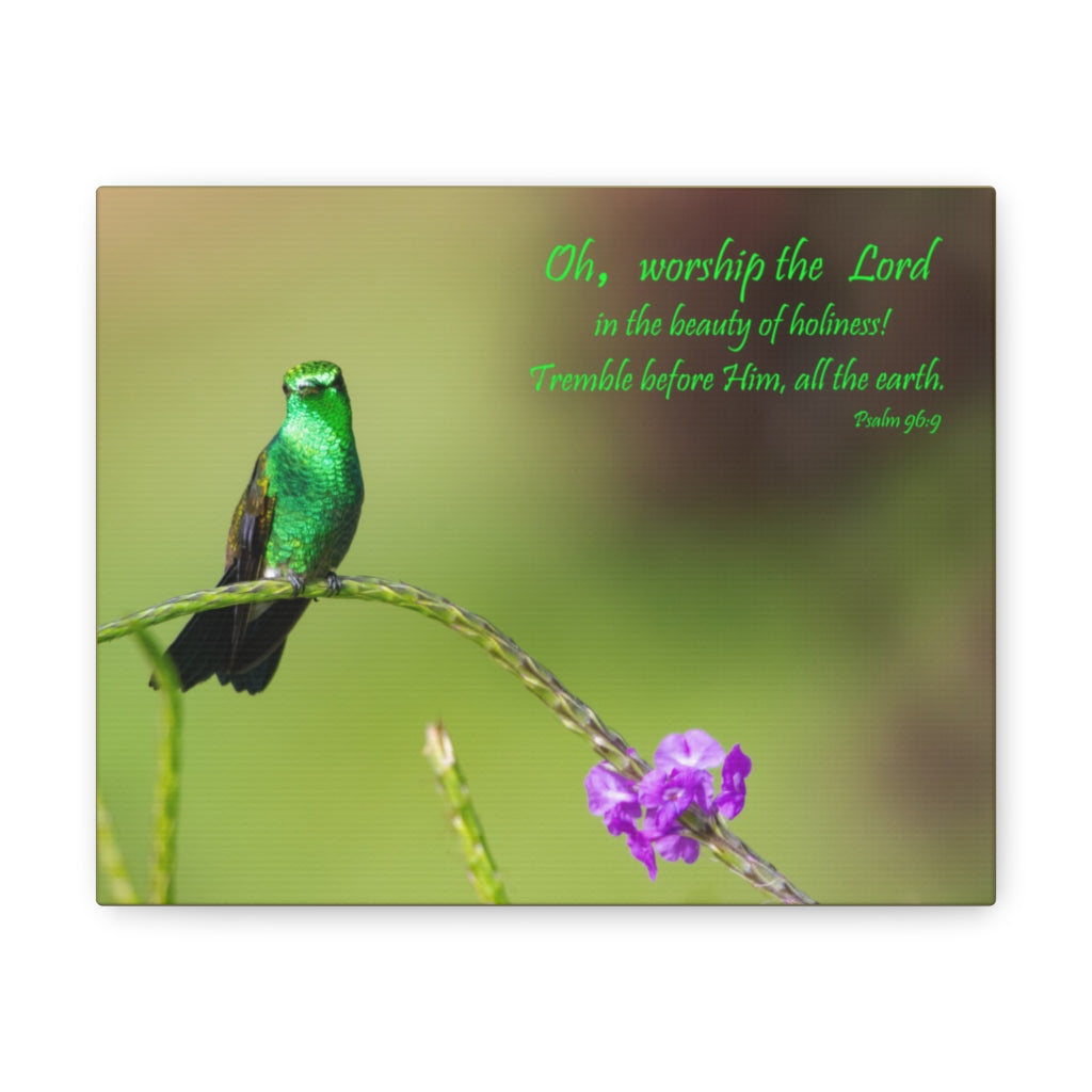 Scripture Walls Worship The Lord Psalm 96:9 Bible Verse Canvas Christian Wall Art Ready to Hang Unframed-Express Your Love Gifts