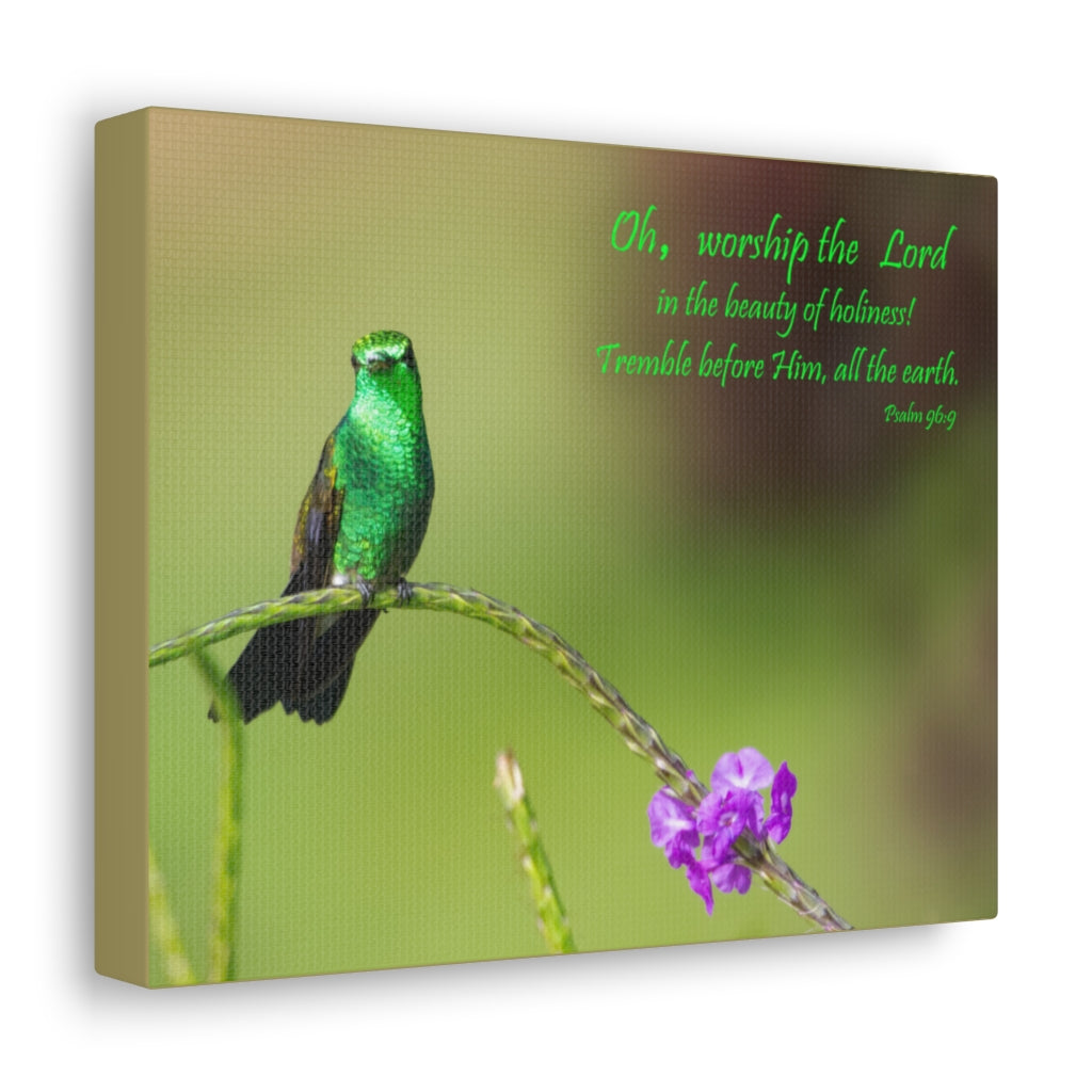 Scripture Walls Worship The Lord Psalm 96:9 Bible Verse Canvas Christian Wall Art Ready to Hang Unframed-Express Your Love Gifts