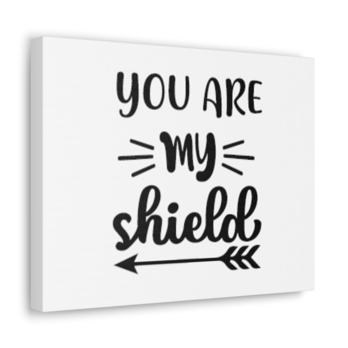 Scripture Walls You Are My Shield Psalm 3:3 Arrow Christian Wall Art Bible Verse Print Ready to Hang Unframed-Express Your Love Gifts