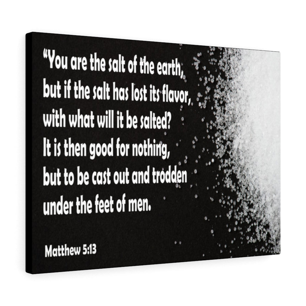 Scripture Walls You Are The Salt of The Earth Matthew 5:13 Bible Verse Canvas Christian Wall Art Ready to Hang Unframed-Express Your Love Gifts