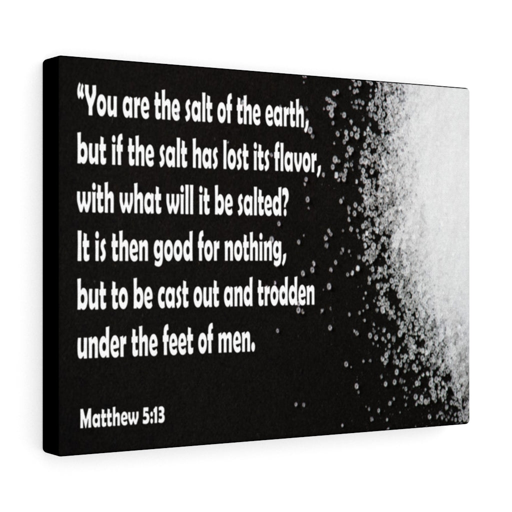 Scripture Walls You Are The Salt of The Earth Matthew 5:13 Bible Verse Canvas Christian Wall Art Ready to Hang Unframed-Express Your Love Gifts
