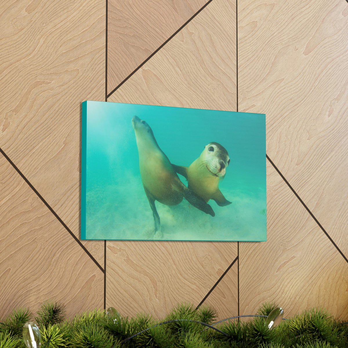 Scripture Walls Sea Lion Couple Sea Lion Couple Print Animal Wall Art Wildlife Canvas Prints Wall Art Ready to Hang Unframed-Express Your Love Gifts