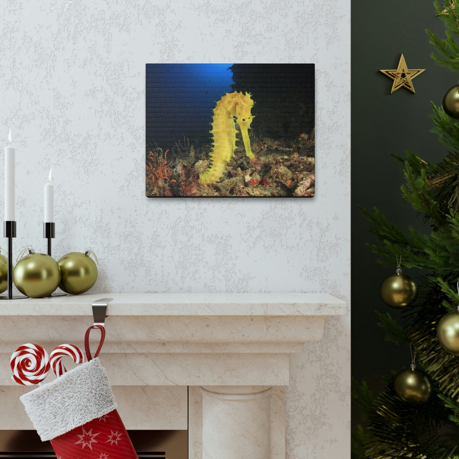 Scripture Walls Seahorse Hunting Seahorse on Hunt Print Animal Wall Art Wildlife Canvas Prints Wall Art Ready to Hang Unframed-Express Your Love Gifts