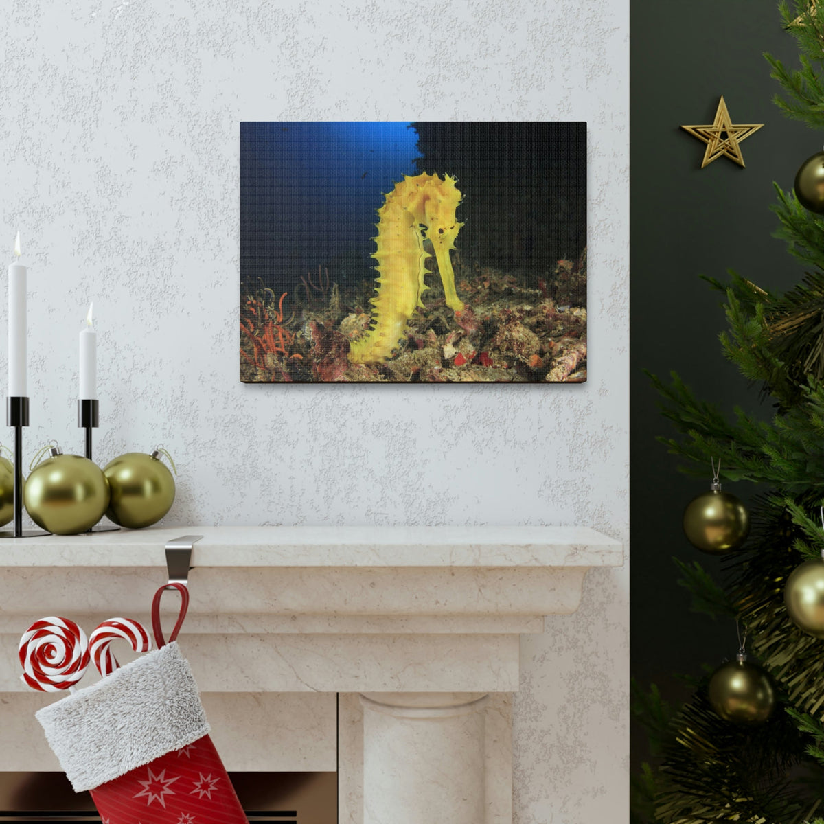 Scripture Walls Seahorse Hunting Seahorse on Hunt Print Animal Wall Art Wildlife Canvas Prints Wall Art Ready to Hang Unframed-Express Your Love Gifts