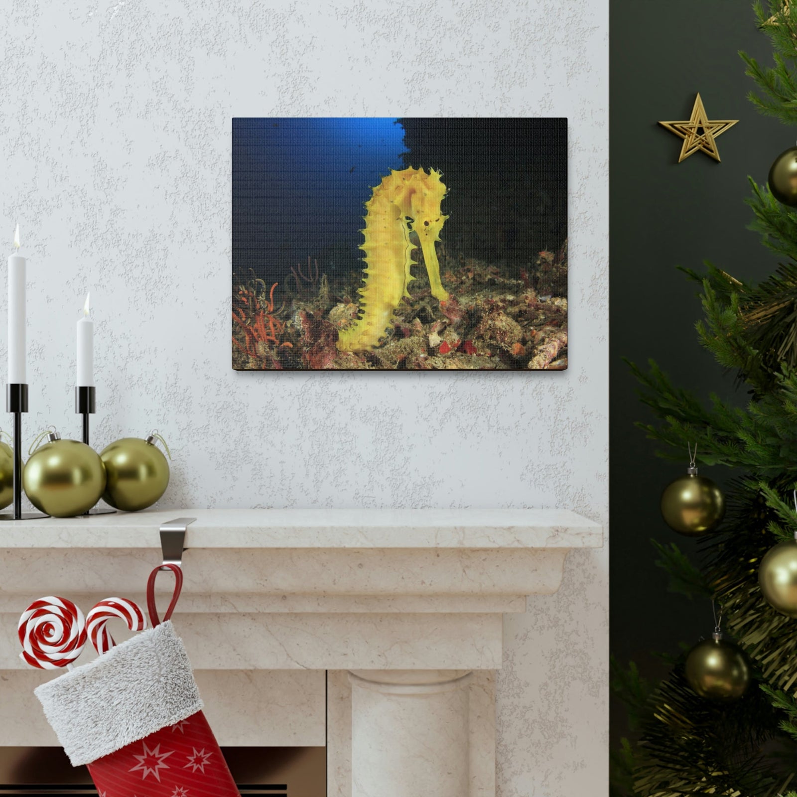 Scripture Walls Seahorse Hunting Seahorse on Hunt Print Animal Wall Art Wildlife Canvas Prints Wall Art Ready to Hang Unframed-Express Your Love Gifts