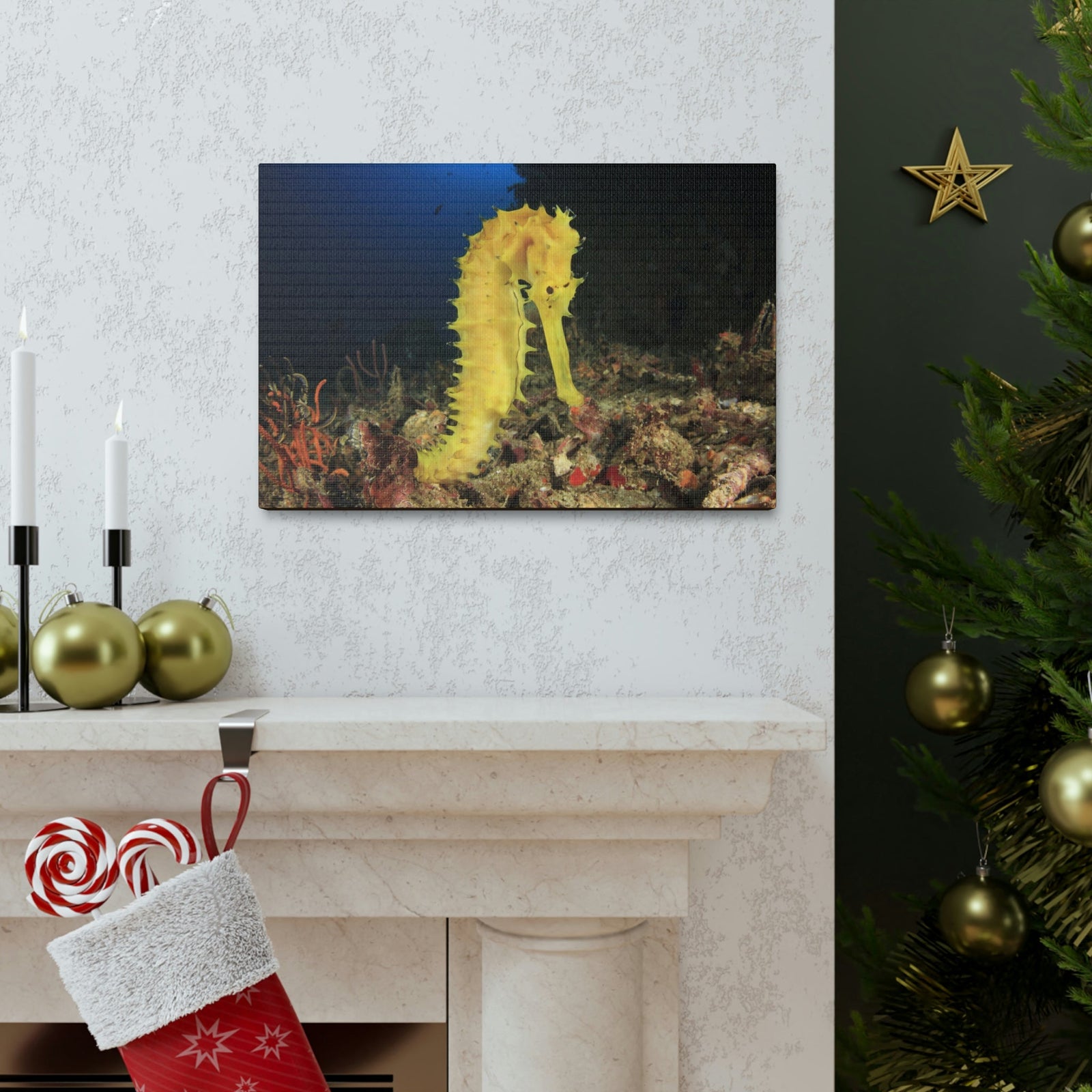 Scripture Walls Seahorse Hunting Seahorse on Hunt Print Animal Wall Art Wildlife Canvas Prints Wall Art Ready to Hang Unframed-Express Your Love Gifts