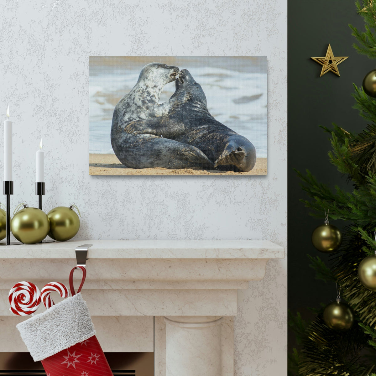 Scripture Walls Seal Couple Seal Couple Print Animal Wall Art Wildlife Canvas Prints Wall Art Ready to Hang Unframed-Express Your Love Gifts