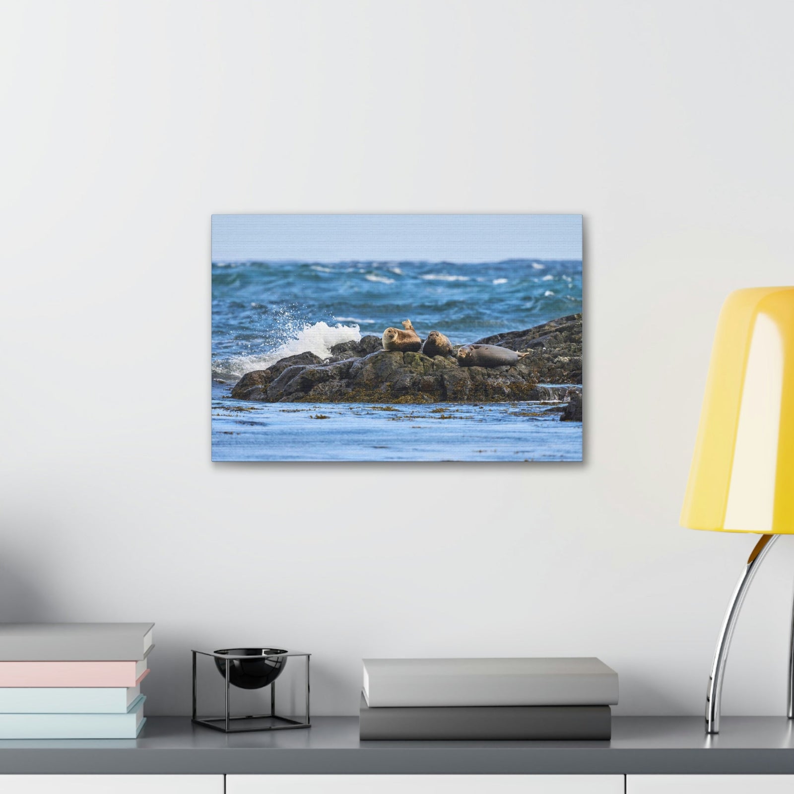 Seal Group Chilling on the Coastline Wall Art Wildlife Canvas Prints Wall Art Ready to Hang Unframed-Express Your Love Gifts