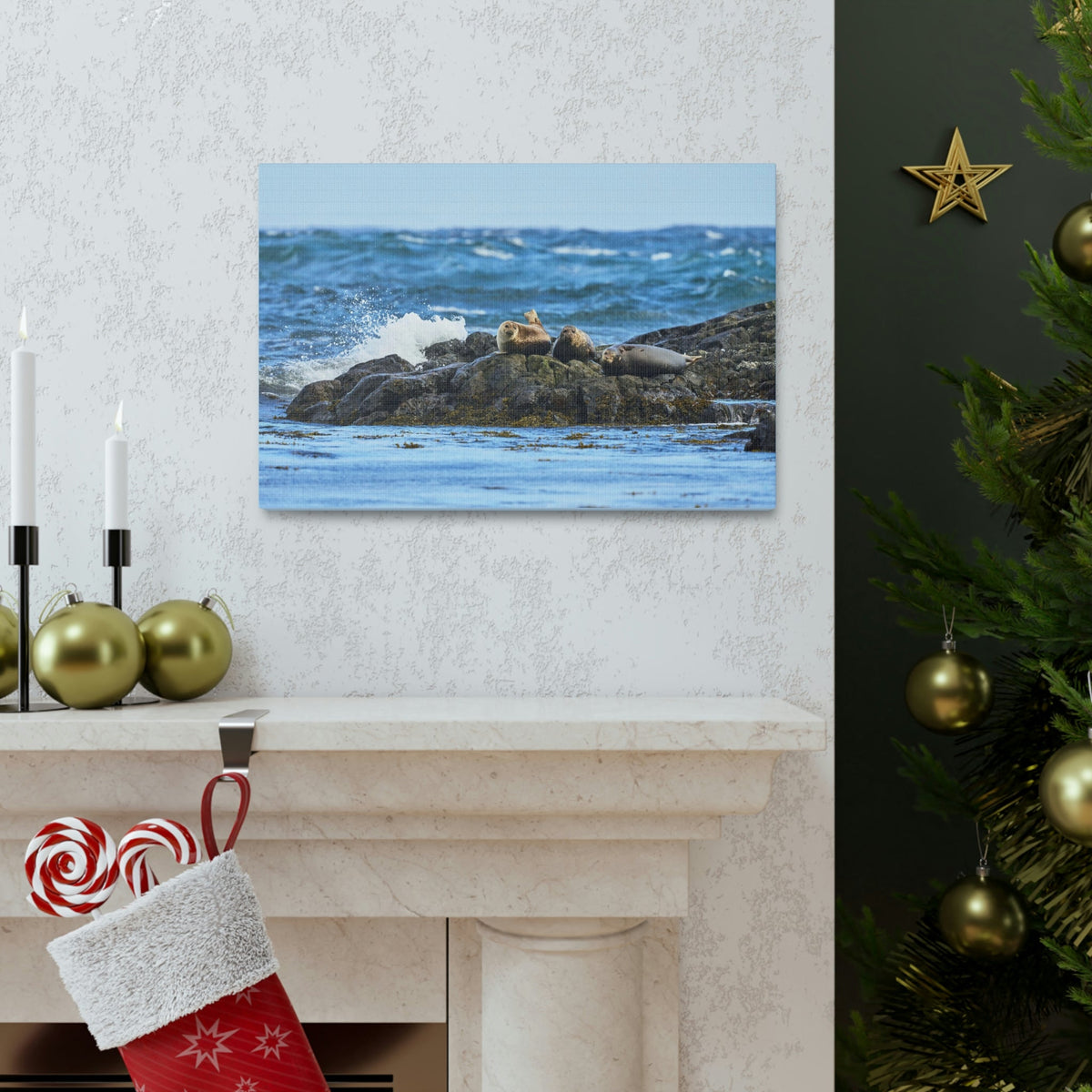 Seal Group Chilling on the Coastline Wall Art Wildlife Canvas Prints Wall Art Ready to Hang Unframed-Express Your Love Gifts