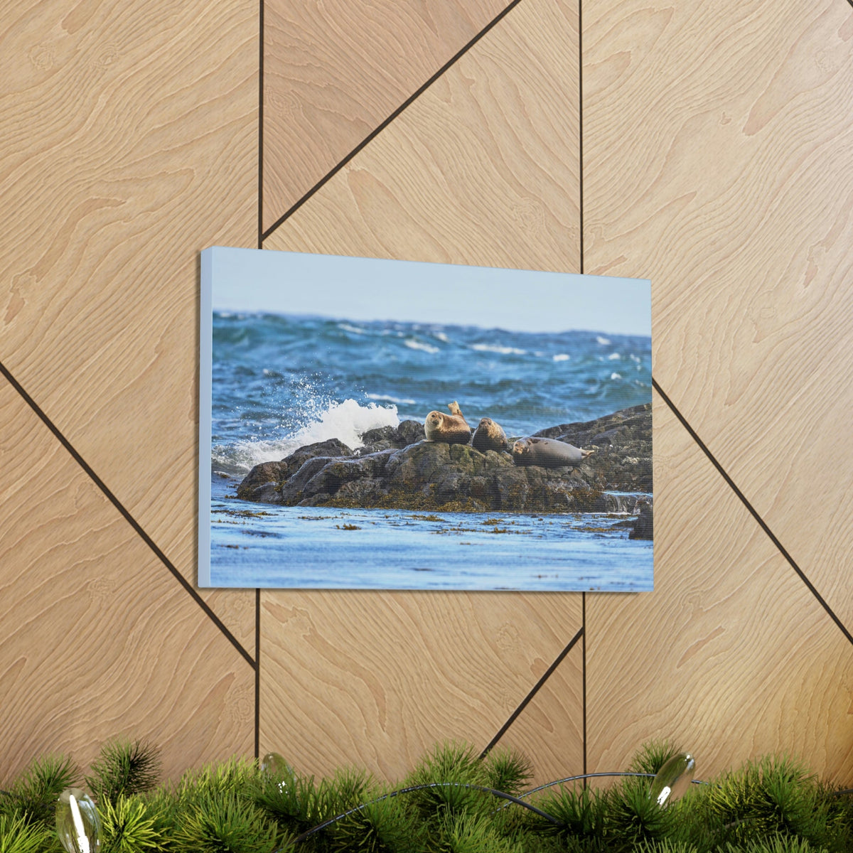Seal Group Chilling on the Coastline Wall Art Wildlife Canvas Prints Wall Art Ready to Hang Unframed-Express Your Love Gifts