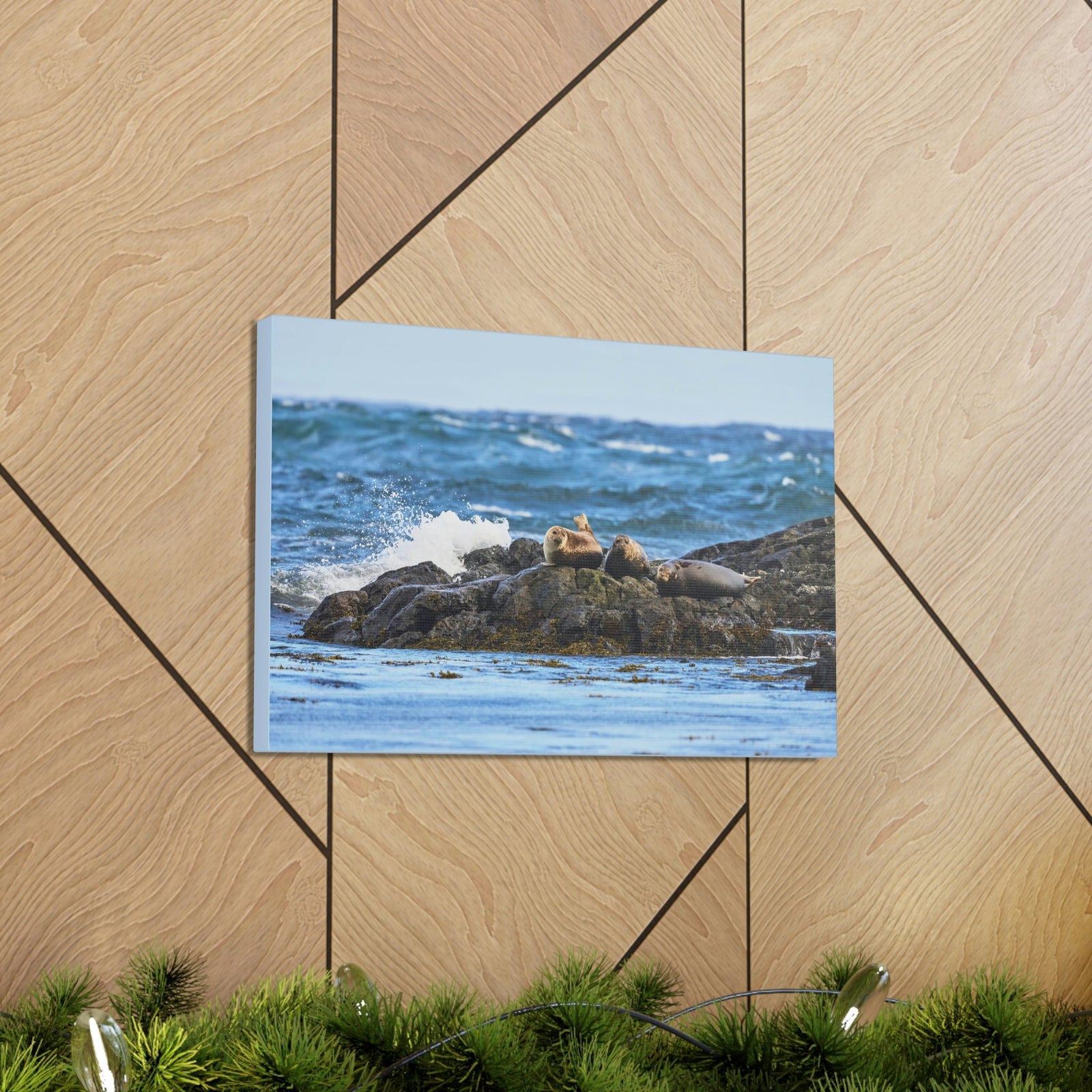 Seal Group Chilling on the Coastline Wall Art Wildlife Canvas Prints Wall Art Ready to Hang Unframed-Express Your Love Gifts